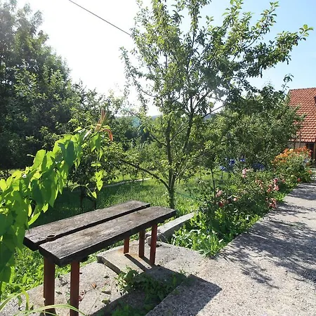 Nature Saraievo